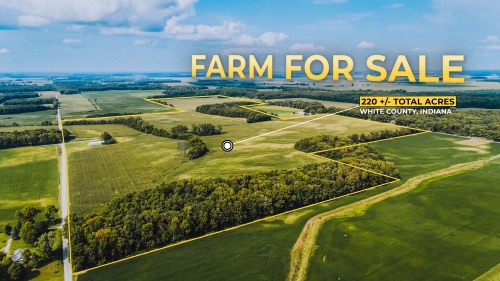 220 +/- Acres of Productive Cropland & Desirable Hunting North of Burnettsville