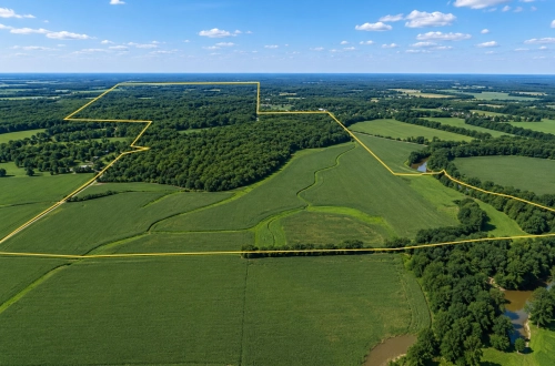 658 +/- Acres of Diverse Options in Clay County!