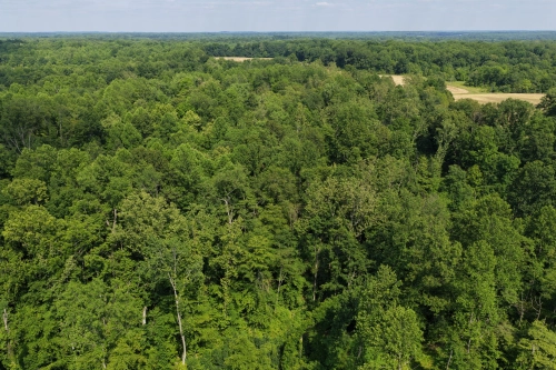 18.5 ± Acres Owen County- Tract 2