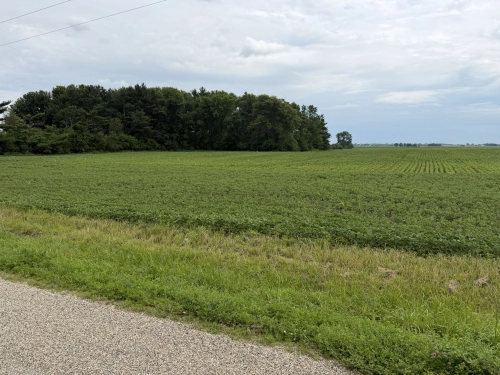 22 +/- Acres Piatt County Farmland – Terando Farm
